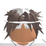 @thebesthgamer