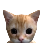@ACasAct