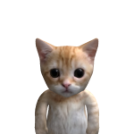 @Alphaok32