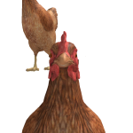 @Gbox_GamerNL