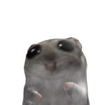 @silly_noriXx
