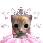 @antoniawheatley10
