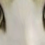 @Mostafax150