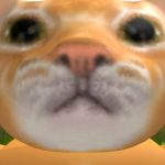 @torcat33thecat