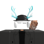 @Raigeth