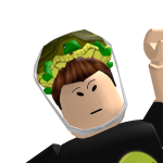 @turtle99lol