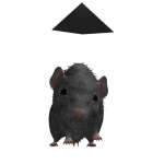 @PLAYER_DGyt