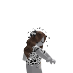 @Dream_loverxx