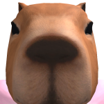 @jacobjay601