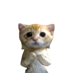 @ryngamer211
