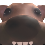 @Panderzzs