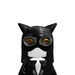 @chickensandwhich543