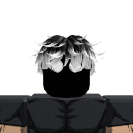 @robrawl2300