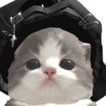 @xzccpond009