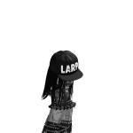 @rvrqtrl