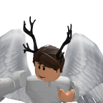 @SkyWarrior805
