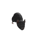 @G0DMK1