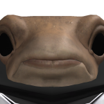 @giganticroadman123