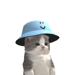 @Myusercode_This