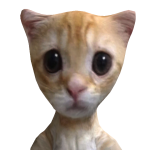 @Lizzthebestie