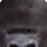 @ANTroblox29