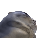 @DenLysendeBanan