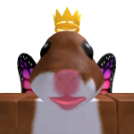 @thecoolistme439
