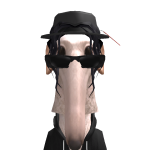 @ImTheC00Iest