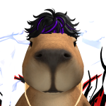 deidim_TDR