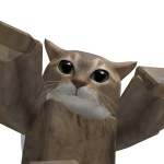 @Catcus85