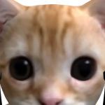 eve