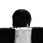 @roblox_user_379680585
