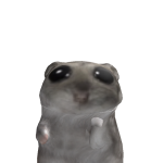 @insu3u