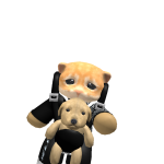 Polar_09