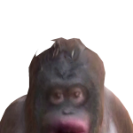 @dETGHYAX20