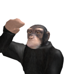 @Le_Ragondin15