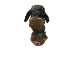 @hppr13