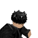 @19kRevii