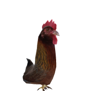 SP0KE