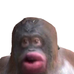@butquack1011
