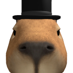 @rippenbolt322