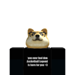 @BearTeam33