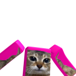 @CoolJamesTheAwesome1