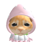 @o_omiechan