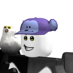 @roblox_user_16901069