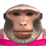 Swxyzo123