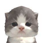 @jusnigo1234