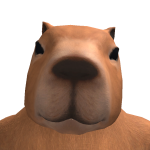 @zoot0045