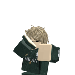 @mattroblox346