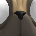 @fgfggfhgfgfd